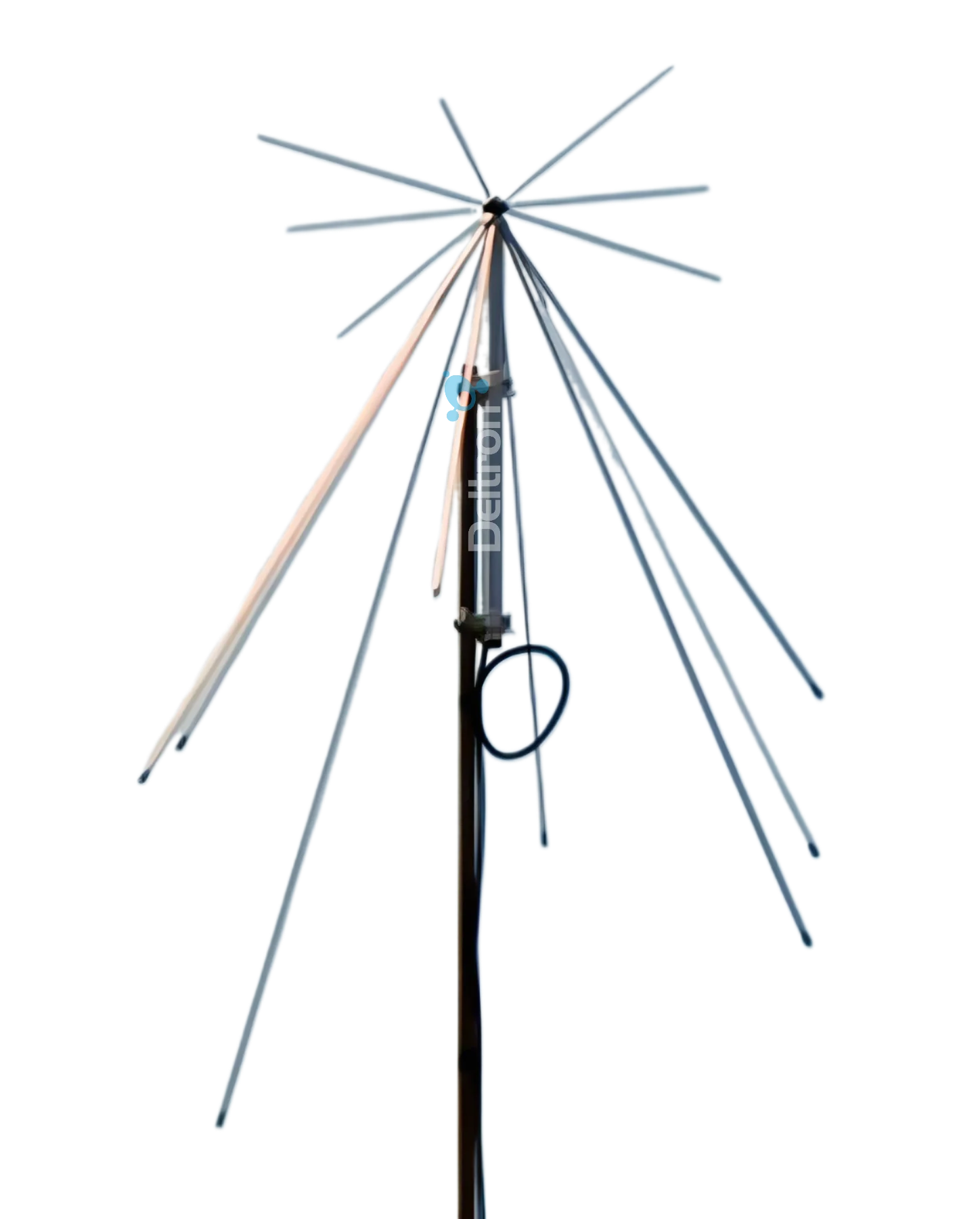 Miniatuur 1